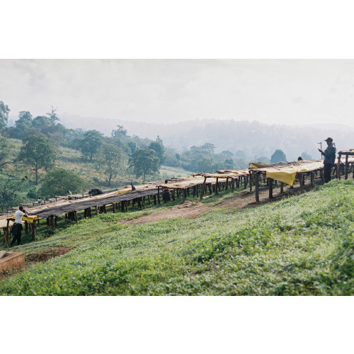Ethiopia Aroresa